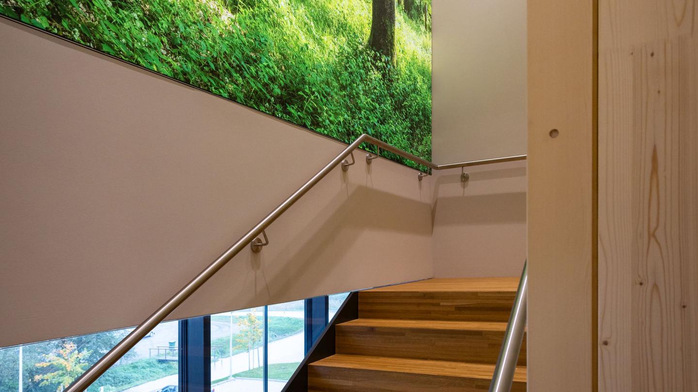 The new office building of HASSLACHER PREDING Holzindustrie, staircase with forest image