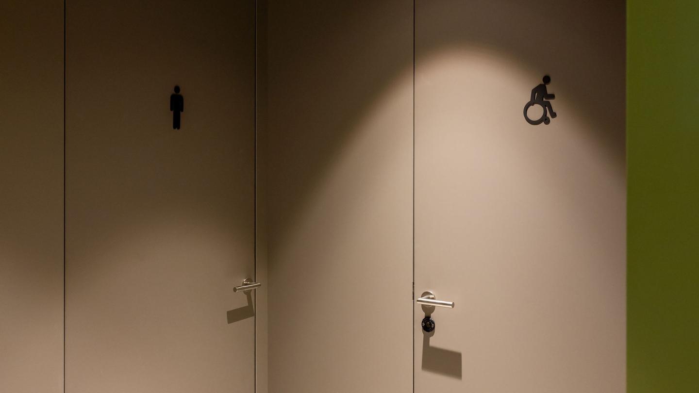 The new office building of HASSLACHER PREDING Holzindustrie, toilets Entrance area Doors