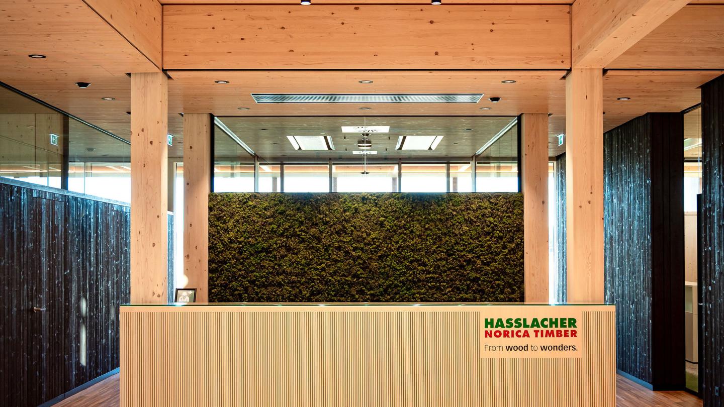The new office building of HASSLACHER PREDING Holzindustrie, entrance area