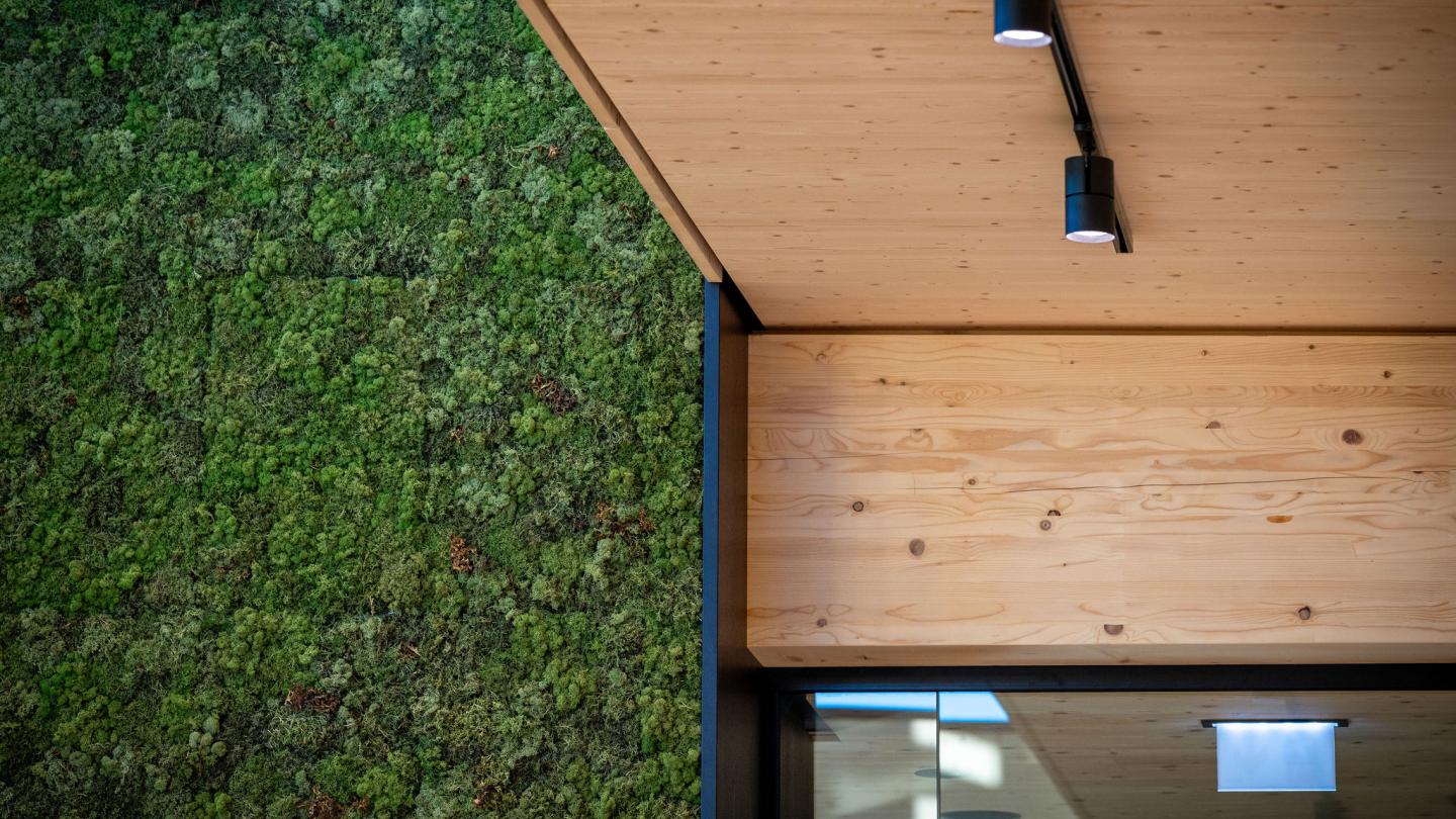 The new office building of HASSLACHER PREDING Holzindustrie, ceiling detail photo