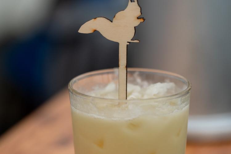 HNT PRE 40 Jahre Preding Feier 114 © Tschabuschnig Photography HNT PRE 40 Jahre Preding Feier 114 © Tschabuschnig Photography